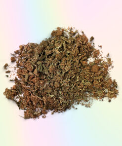 BUY JACKPOT SHAKE ONLINE (HYBRID)