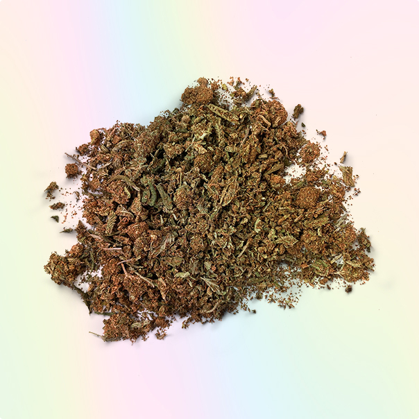 BUY JACKPOT SHAKE ONLINE US (HYBRID)