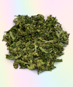 BUY SKYWALKER SHAKE ONLINE (HYBRID)