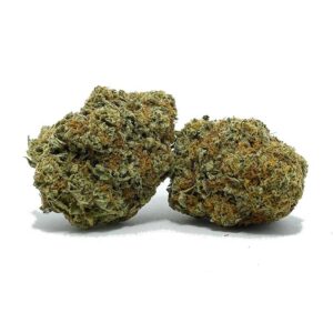 Buy Amnesia Haze Strain Online US