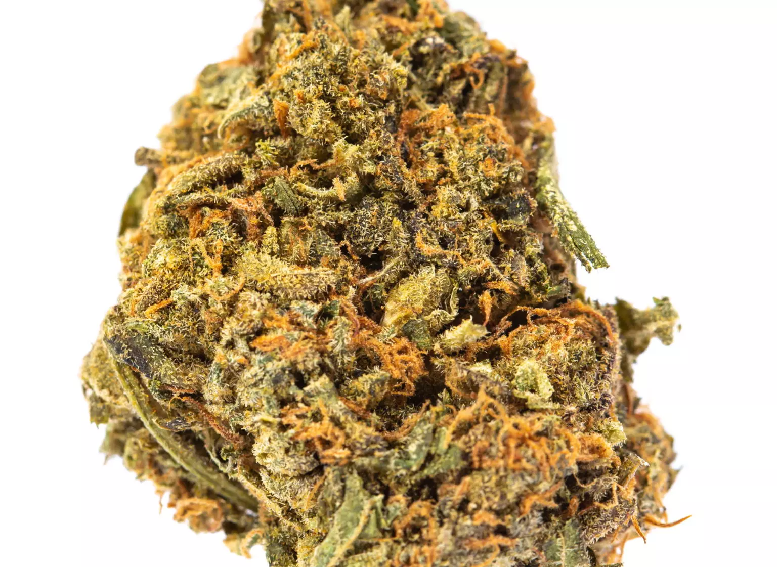 Buy Blue Cheese strain Online US