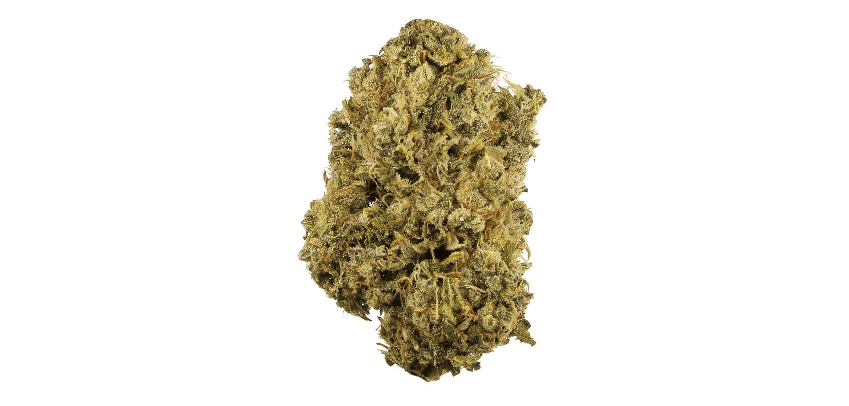 Buy Durban Poison Strain Online US