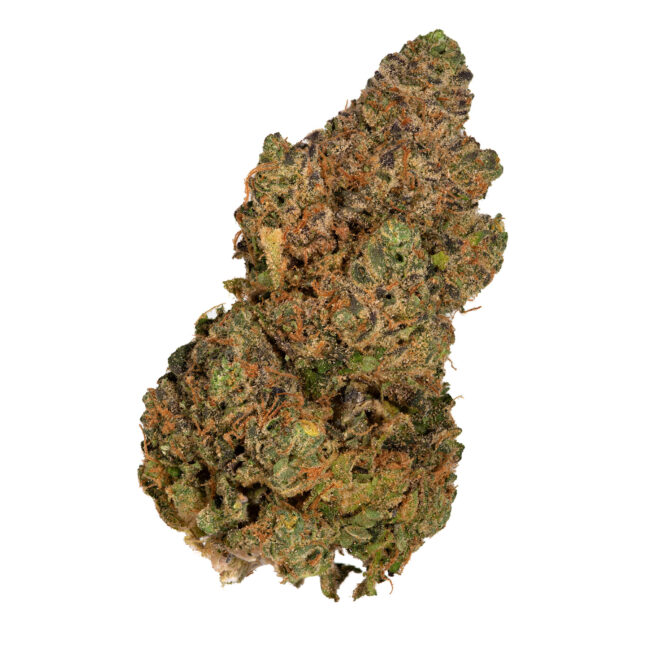 Buy Gelato x Zkittlez Online in the US