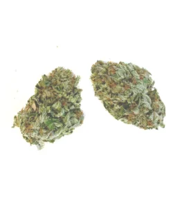 Buy Green Crack Strain Online US