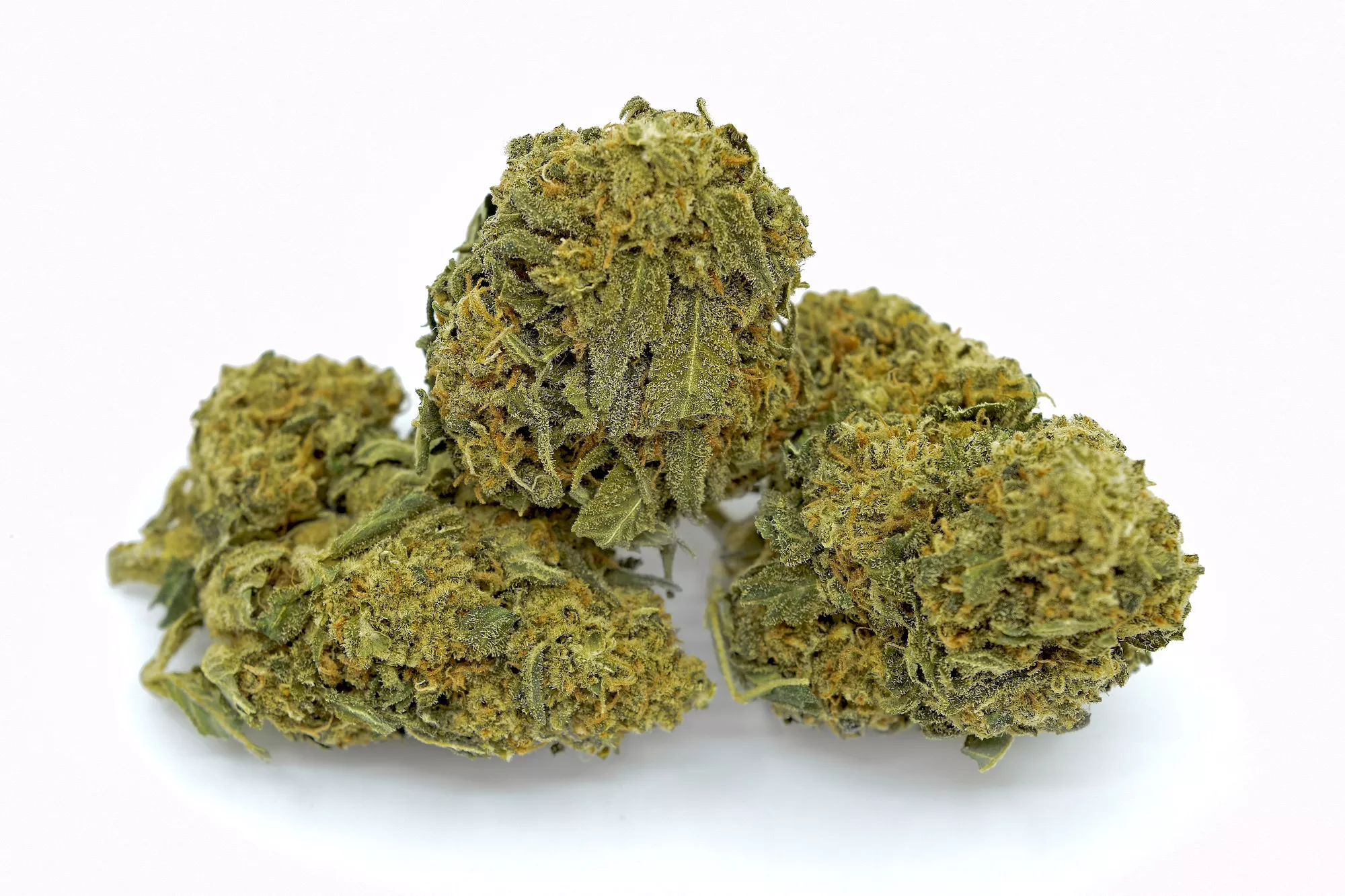 Buy Green Dragon Strain Online US