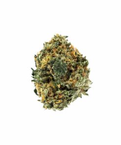 Buy Hindu Kush Strain Online US