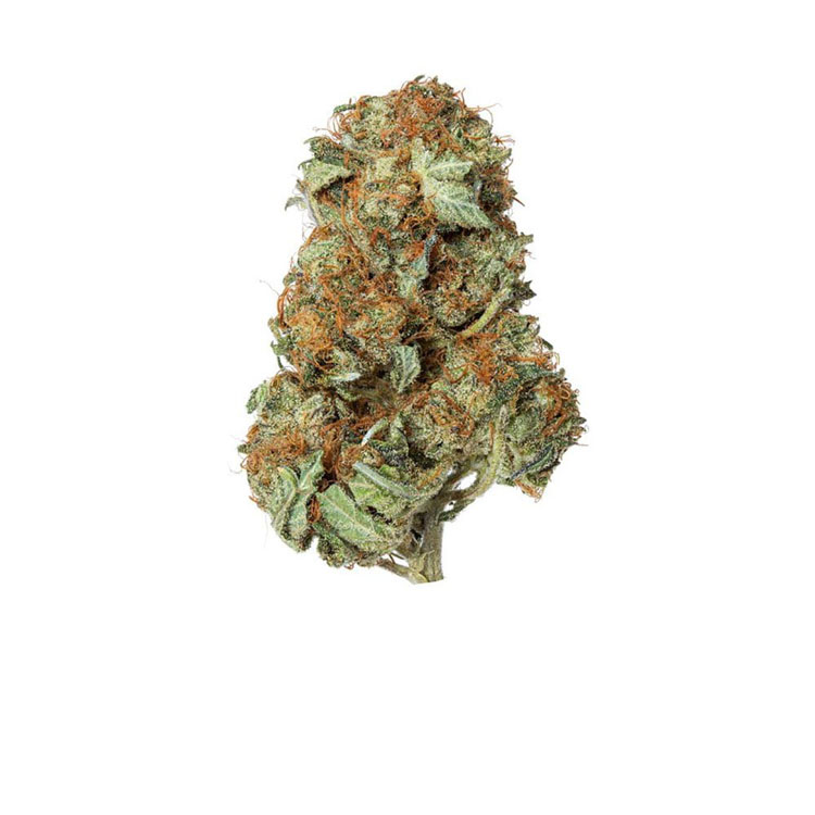 Buy MK Ultra Strain Online US