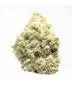 Buy Maui Wowie Strain Online US