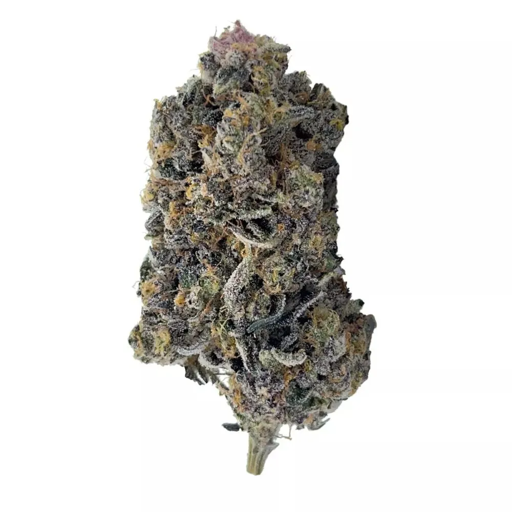 Buy Tropicana Cookies Strain Online US