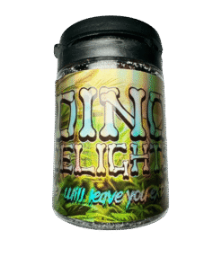 Alternative view of Dino Delights